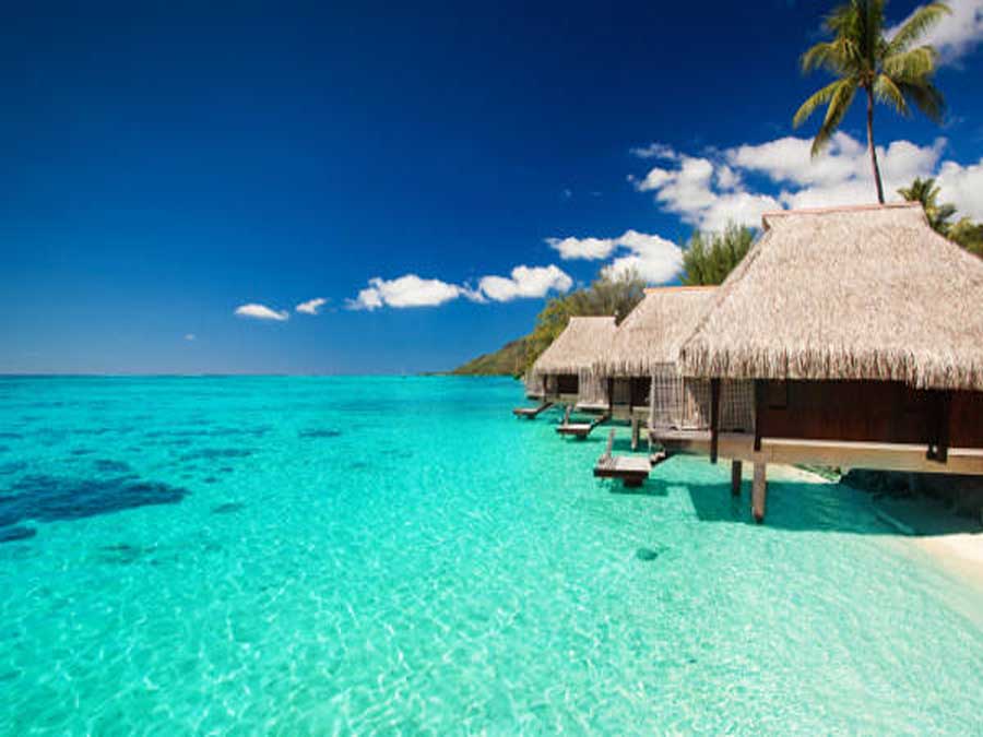 tropici